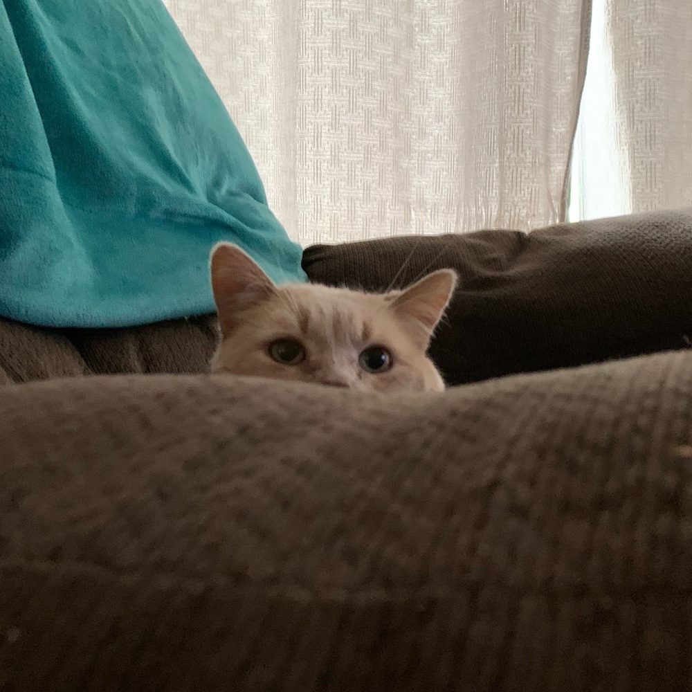 Meet your Posher, Loran